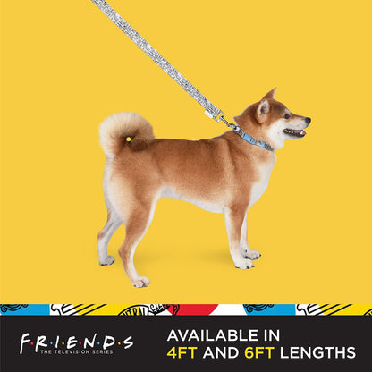 Friends TV Show City Doodle Dog Leash, 6 Ft (72 Inches) | Cute Blue Leash for Dogs & Harnesses