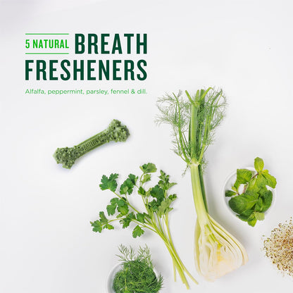 Dental Chews for Dogs, 40 Count, Vet-Recommended Mint-Flavored Treats for Tiny/Small Dogs 5-24 Lbs, Dental Bones Clean Teeth, Fight Bad Breath, and Removes Plaque and Tartar