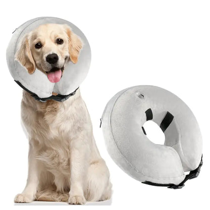 Inflatable Collars for Pets