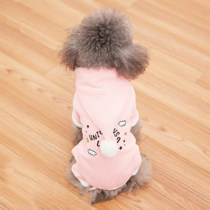 Padded Boxer for Pets