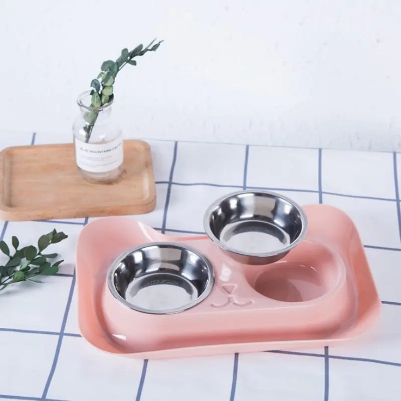 Stainless Steel Double Cat Bowl and Pet Food Dish
