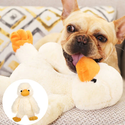 Dog Plush Toys for Pets